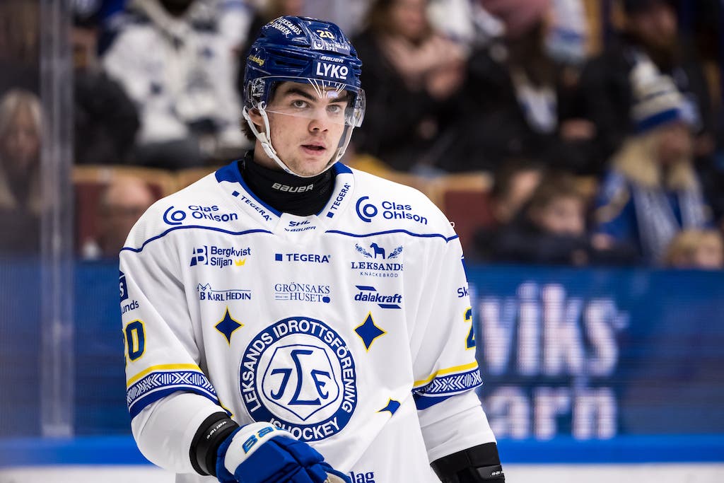 (28583) Lian Bichsel