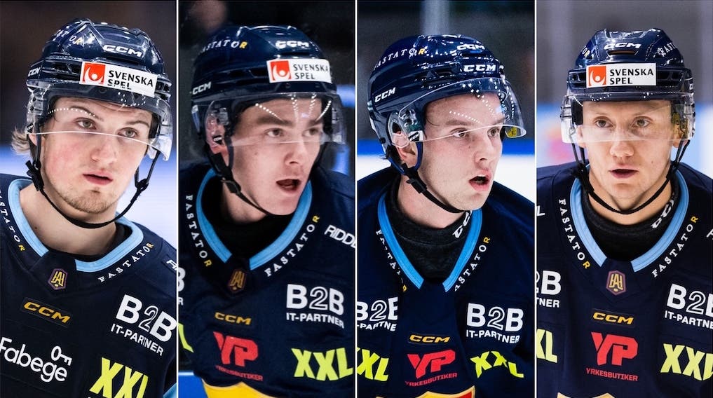 (30312) Odelius Johansson Carnebo Glad