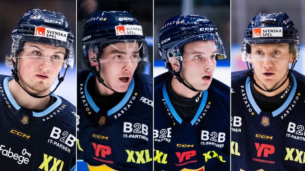 (30312) Odelius Johansson Carnebo Glad