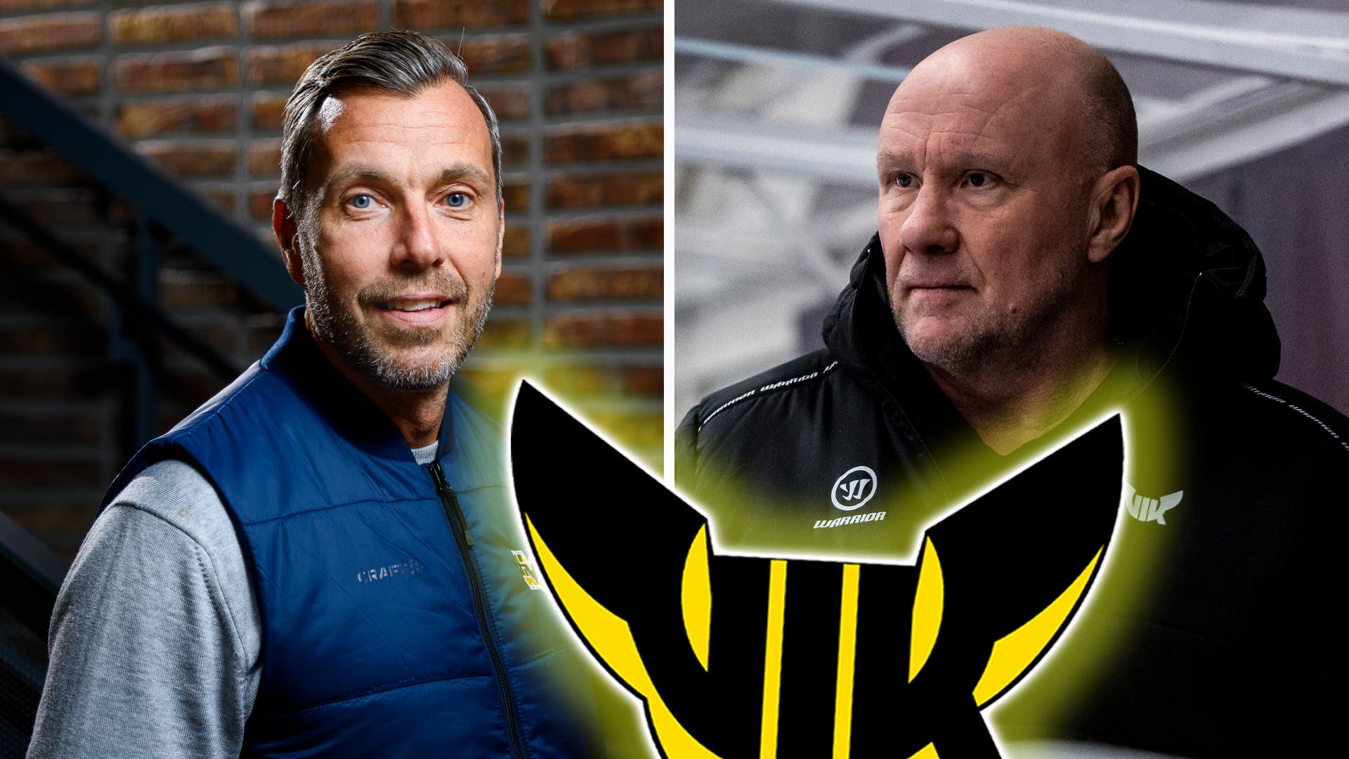 vik Johan Hult