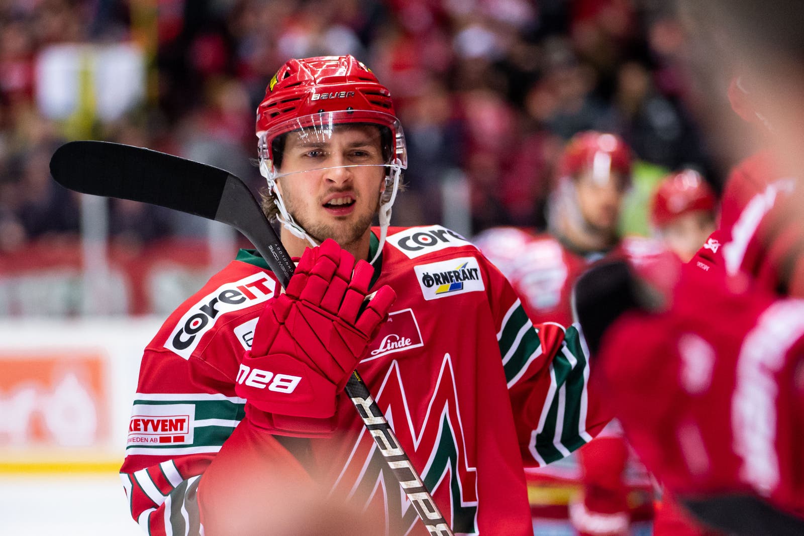 (19722) Mathias From