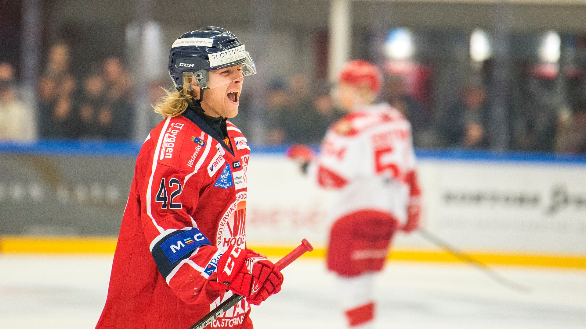 Daniel Nestor/Bildbyrån