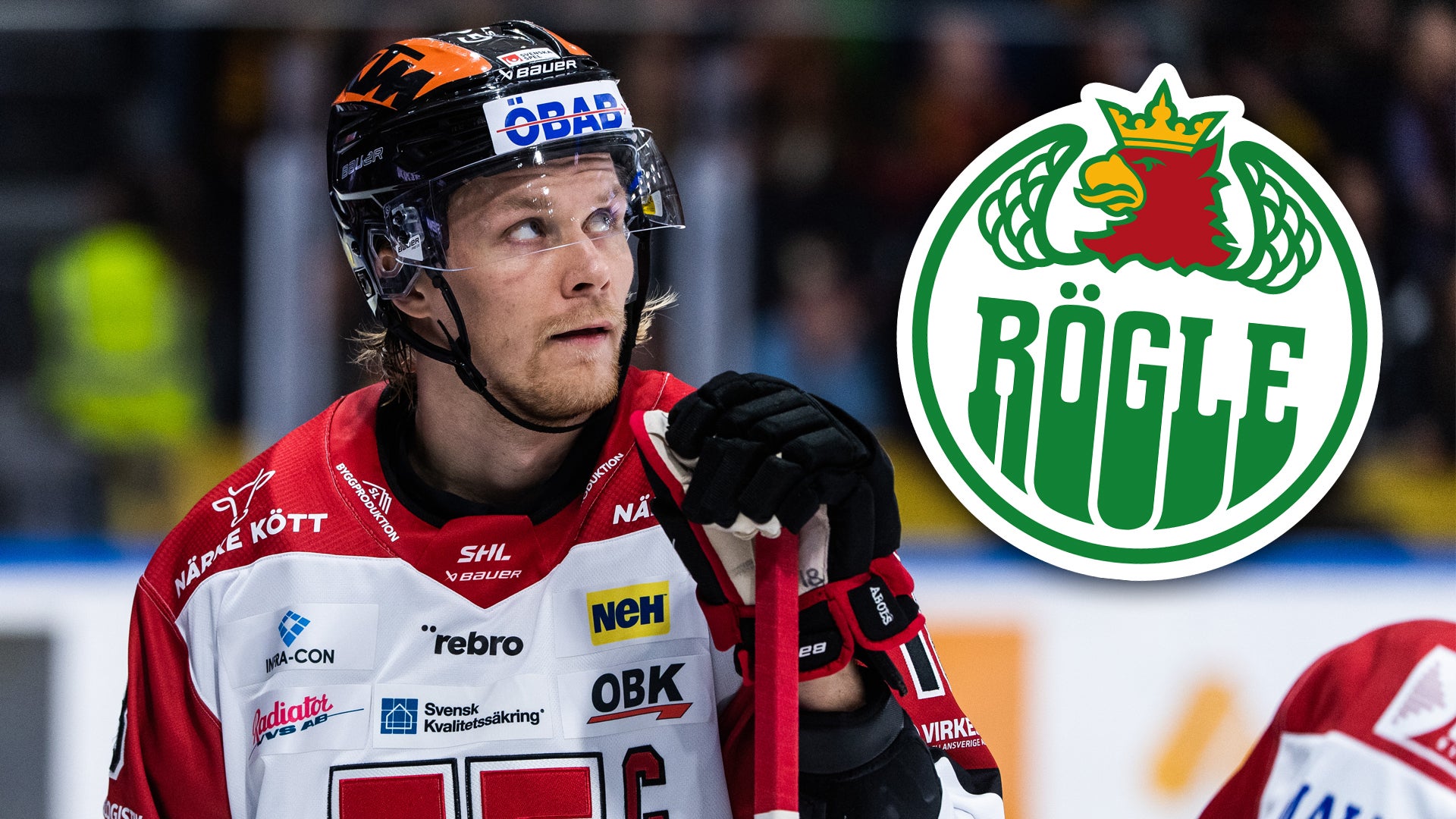 (25942) Rodrigo Abols