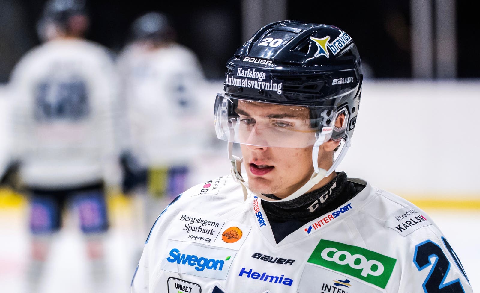 (10733) nikola pasic