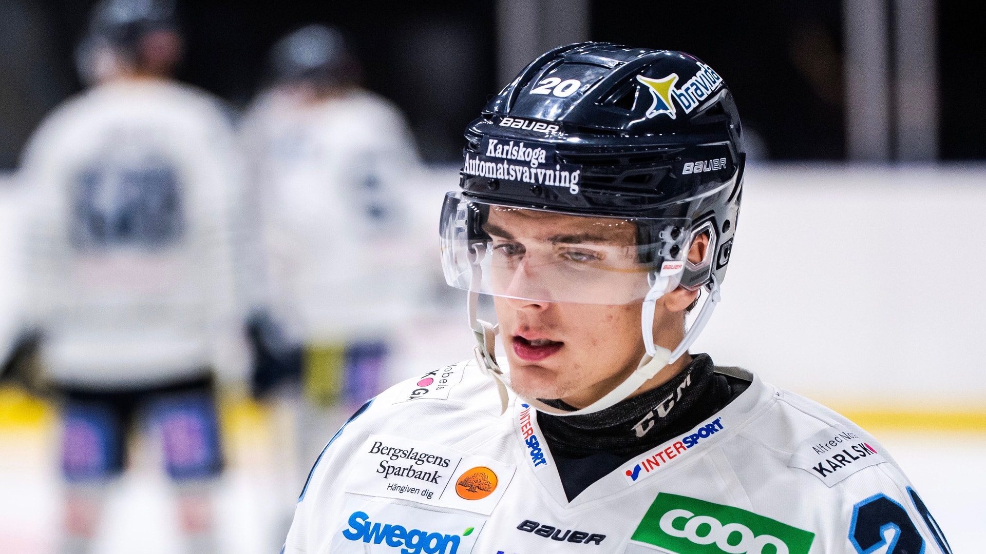 (10733) nikola pasic