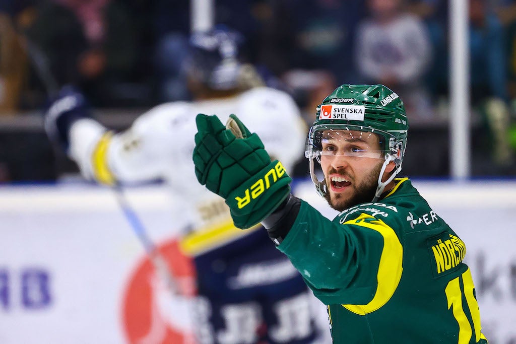 (23768) Mattias Nörstebö Björklöven
