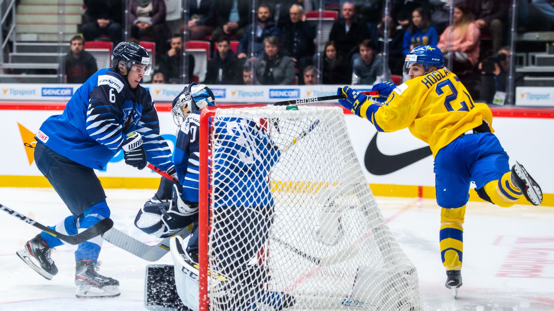 (11710) Nils Höglander