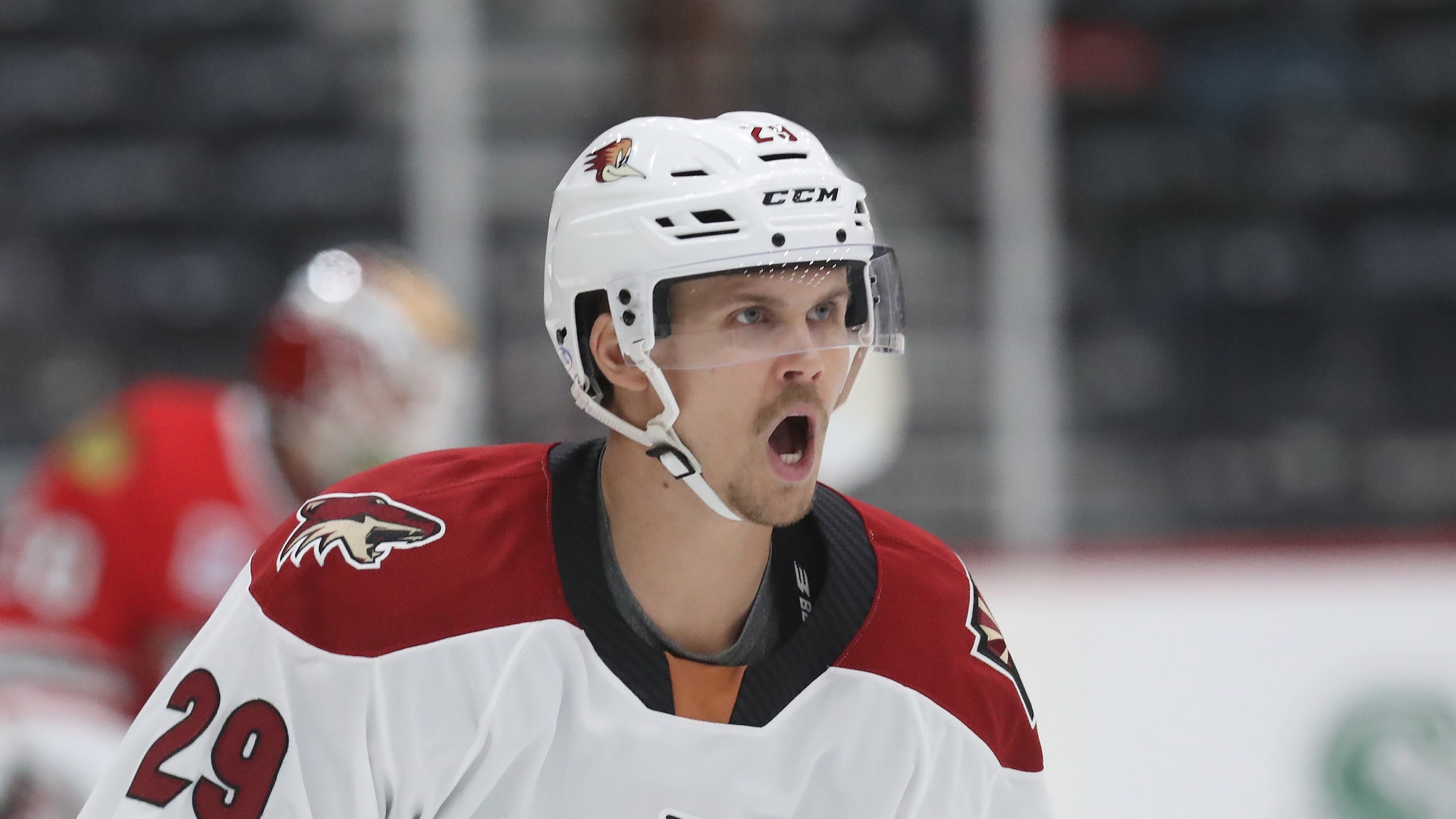 Tucson Roadrunners