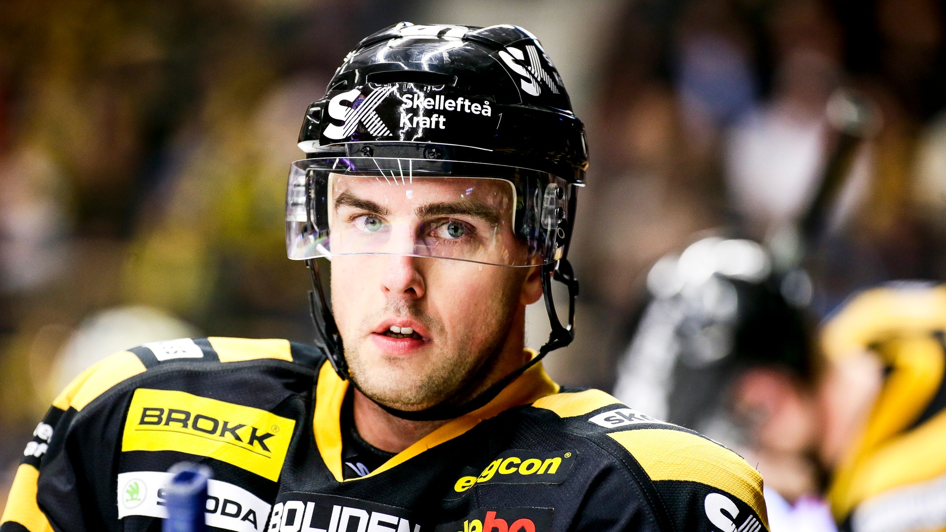 Ola Westerberg/Bildbyrån