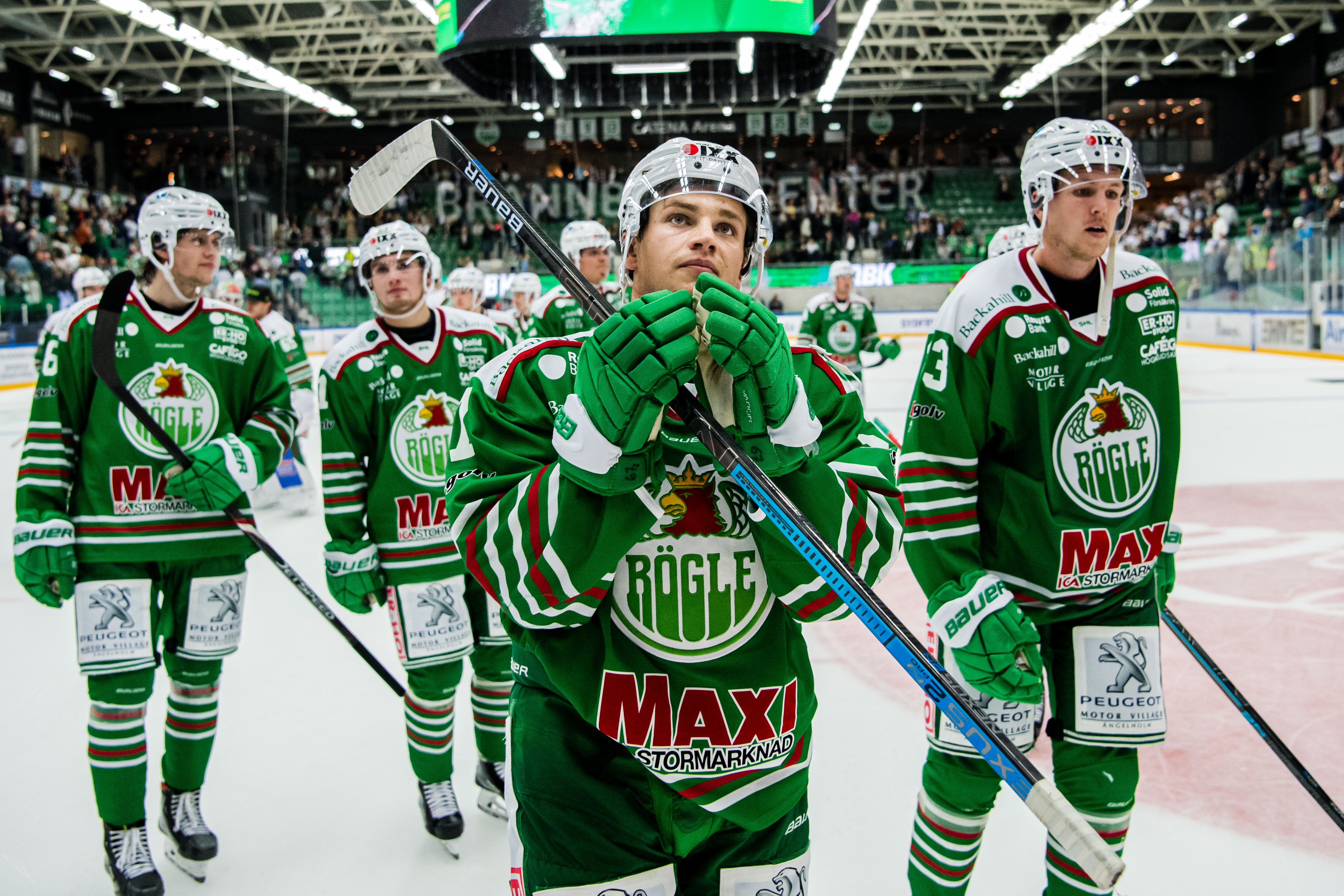 (10074) Leon Bristedt