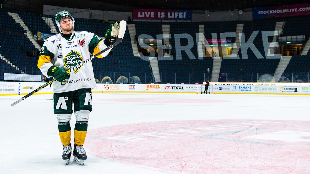 (10290) andreas hjelm