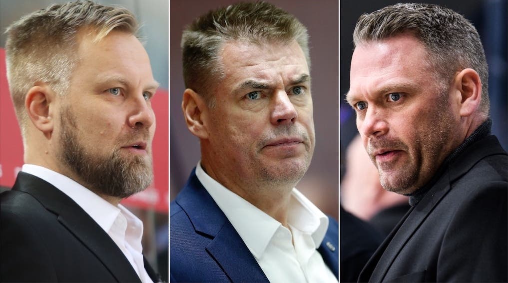 (19752) Manner/Helminen/Holmqvist