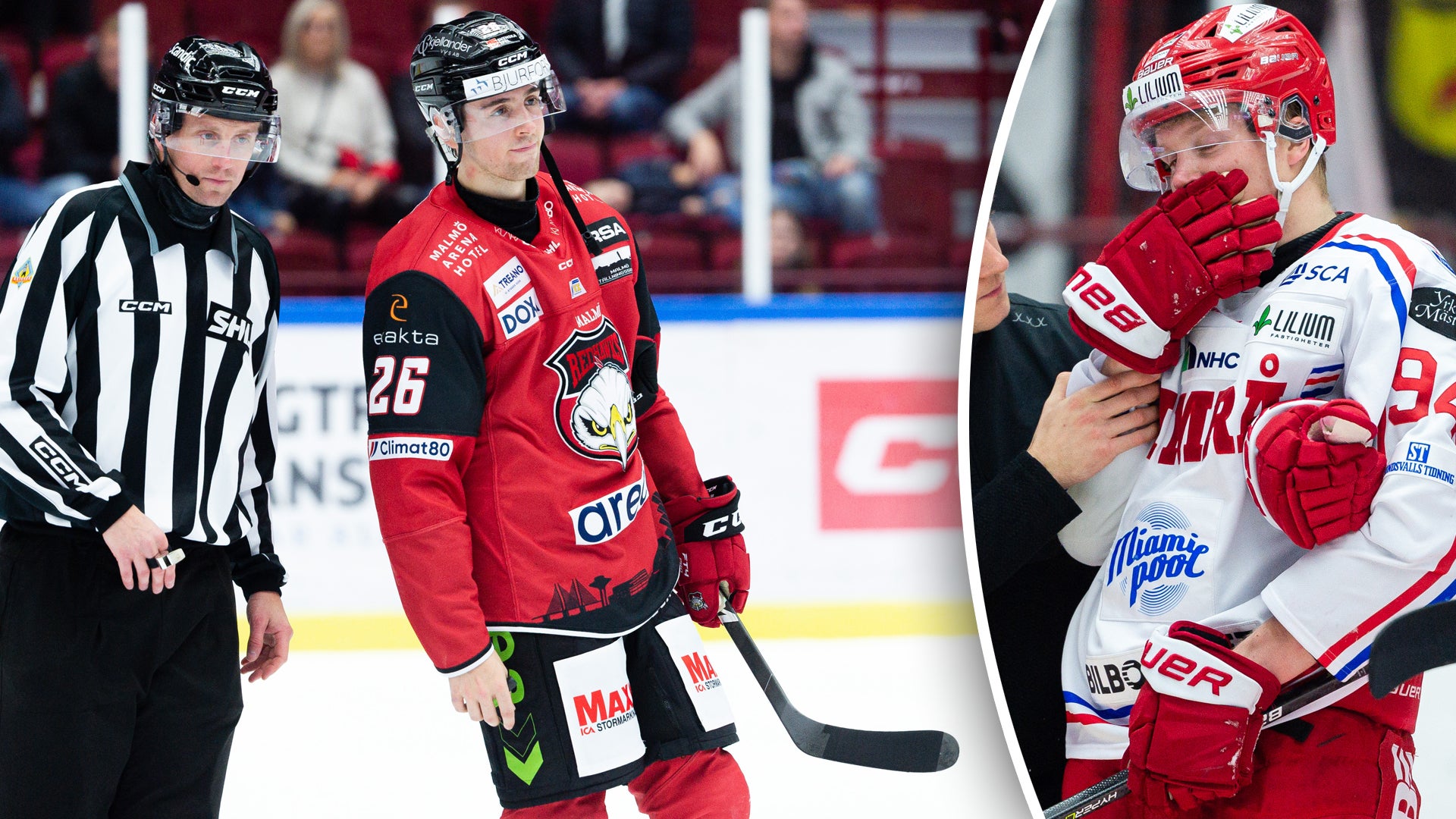 (24994) Thomas Schemitsch-Sebastian Hartmann