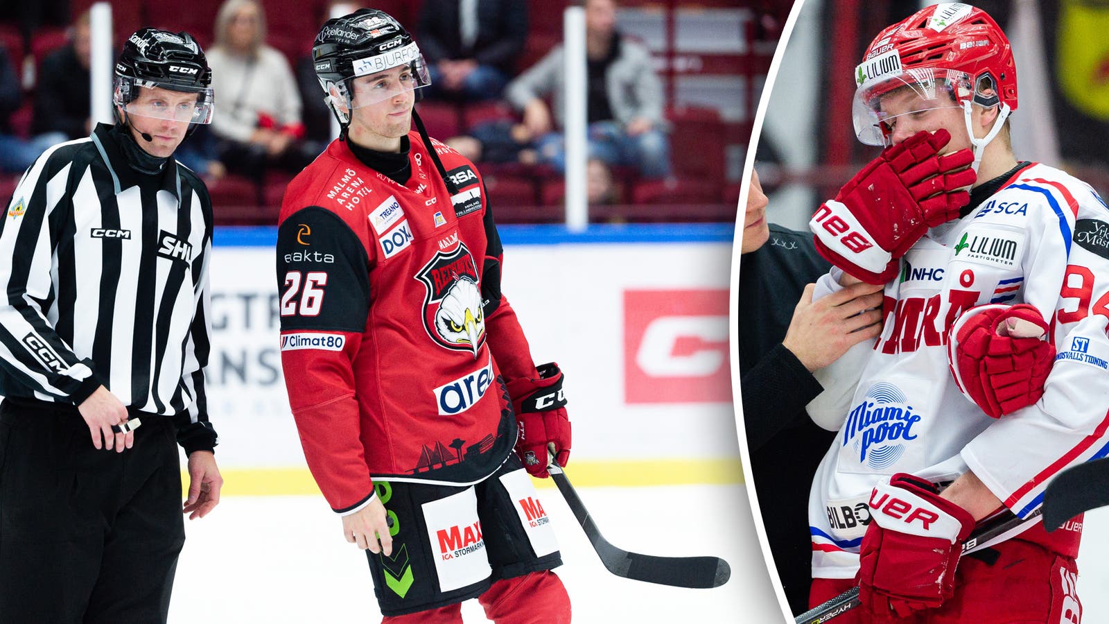 (24994) Thomas Schemitsch-Sebastian Hartmann