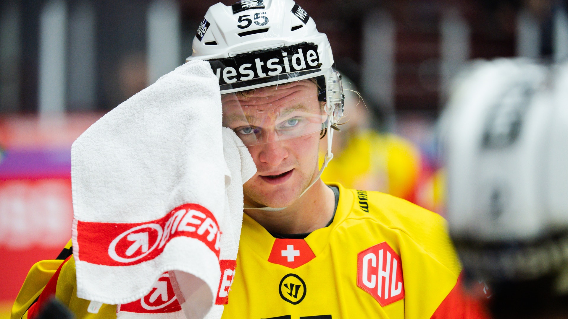 Petter Arvidson/Bildbyrån