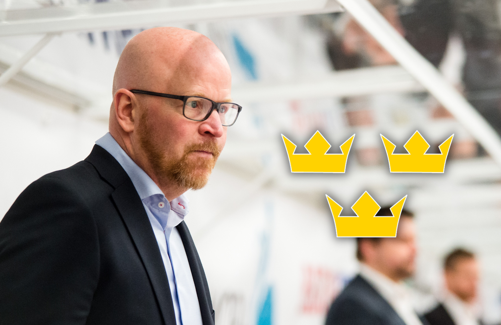 (24260) Johan rosén