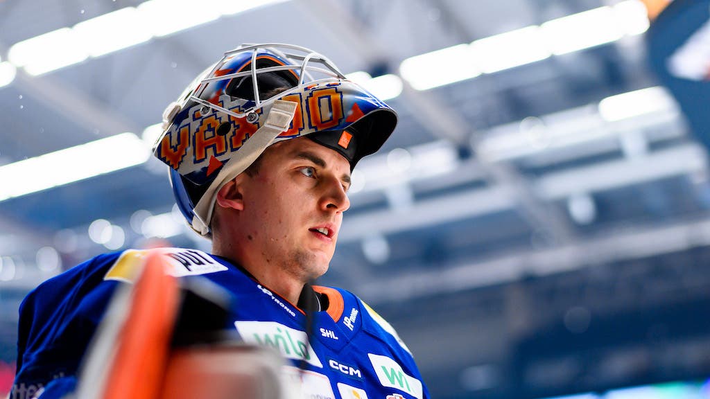 (27293) Janis Kalnins Växjö