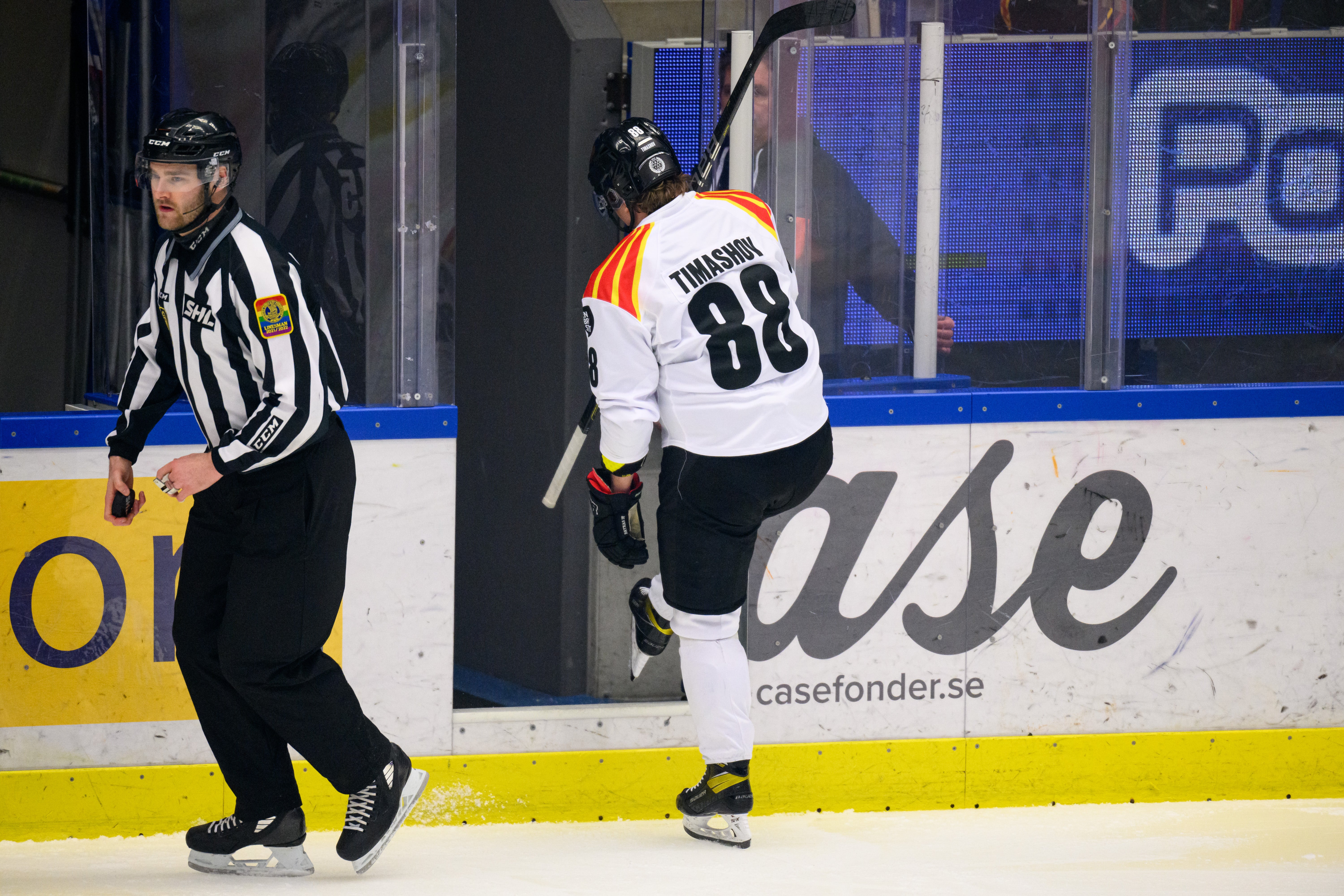 (22405) Dmytro Timashow / Brynäs