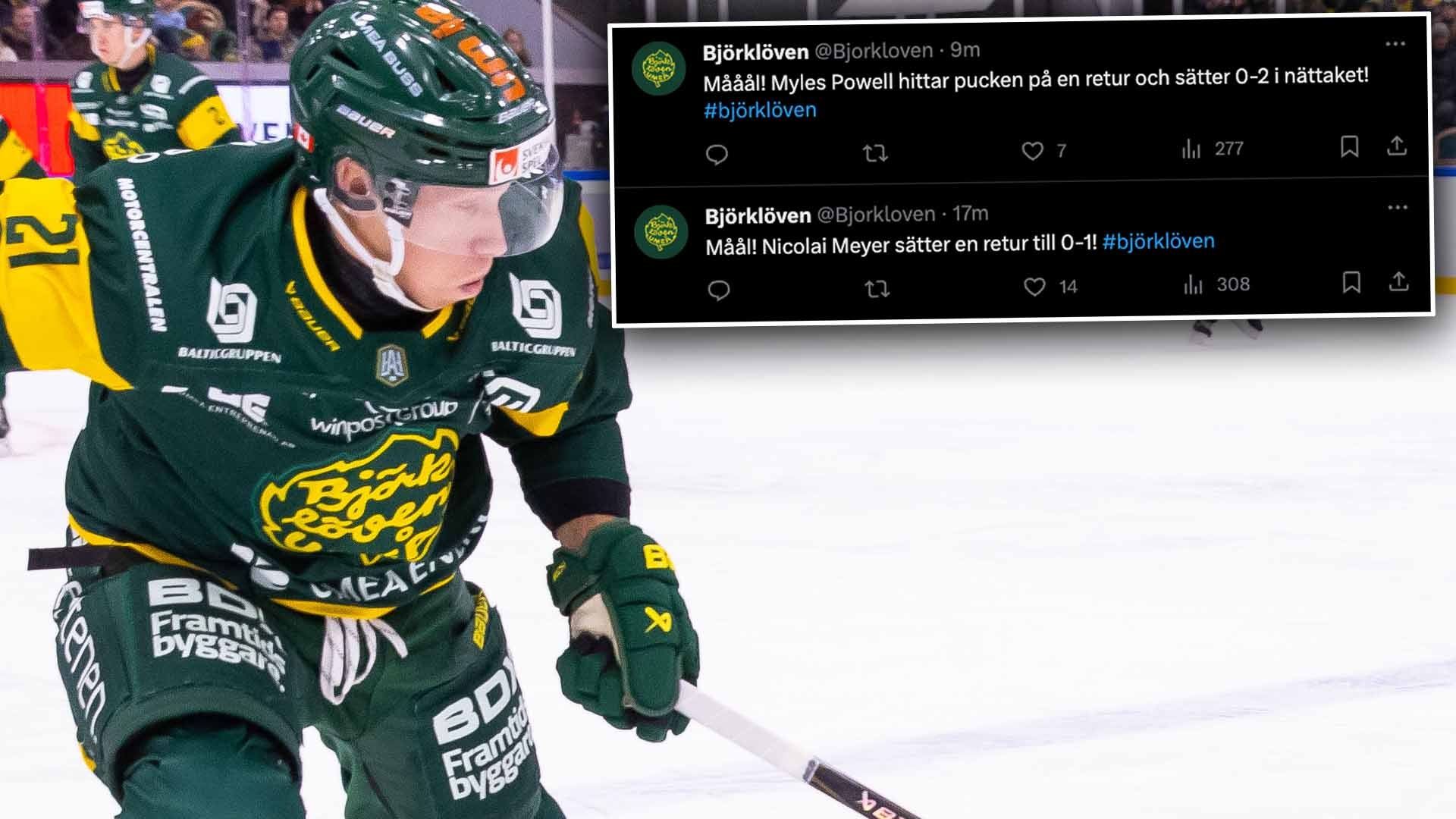 (30606) Björklöven