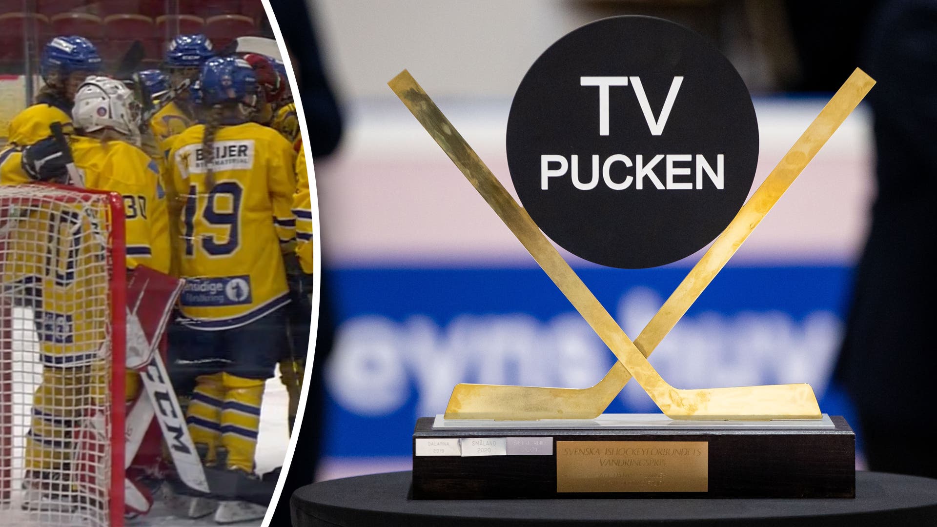(29739) TV-pucken-flickor