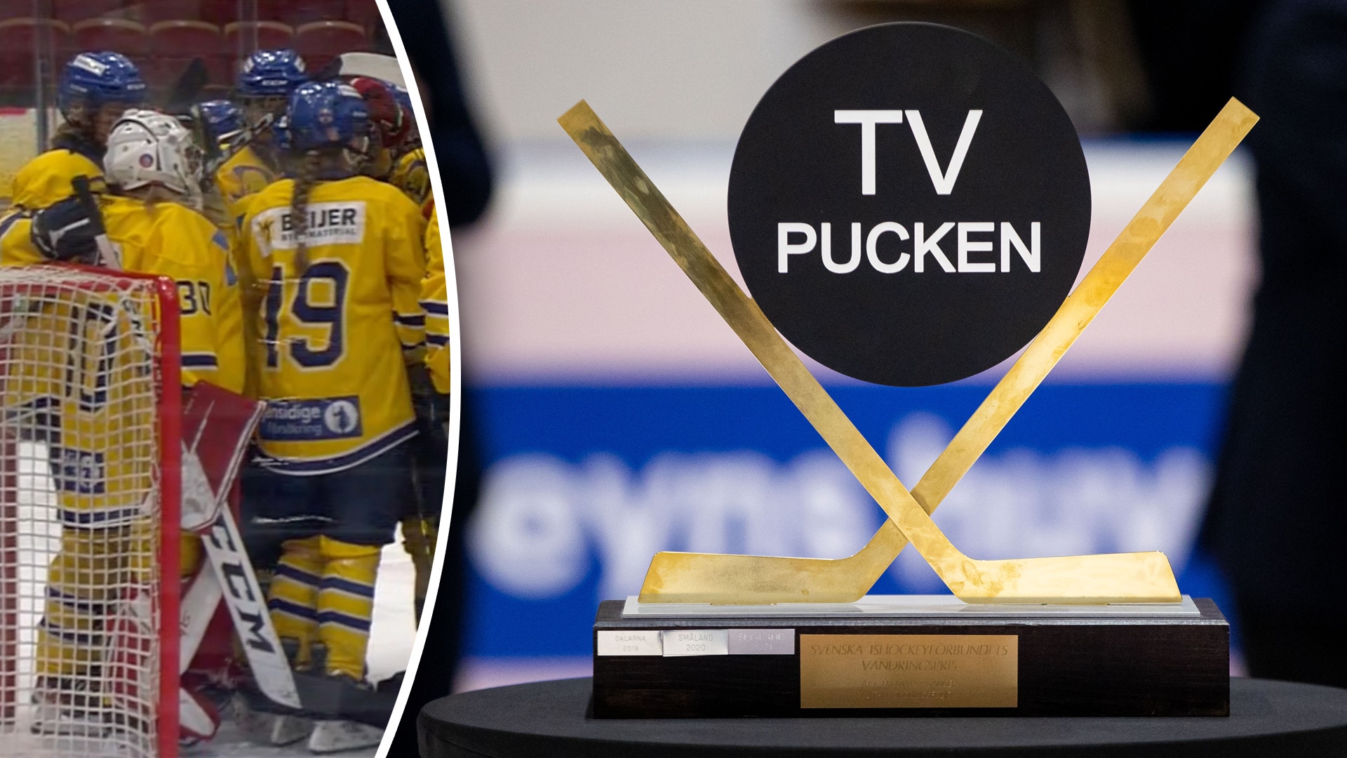 (29739) TV-pucken-flickor