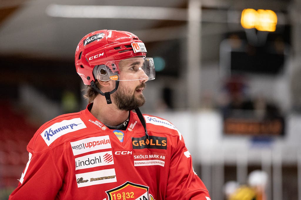 (25360) Johan Eriksson Almtuna