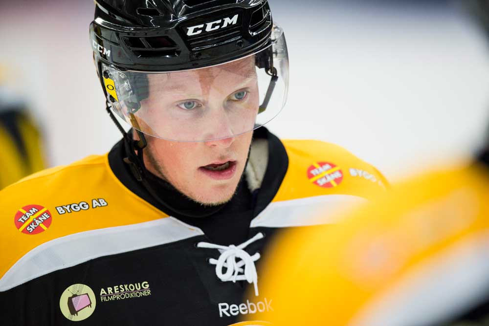 Petter Arvidson/Bildbyrån