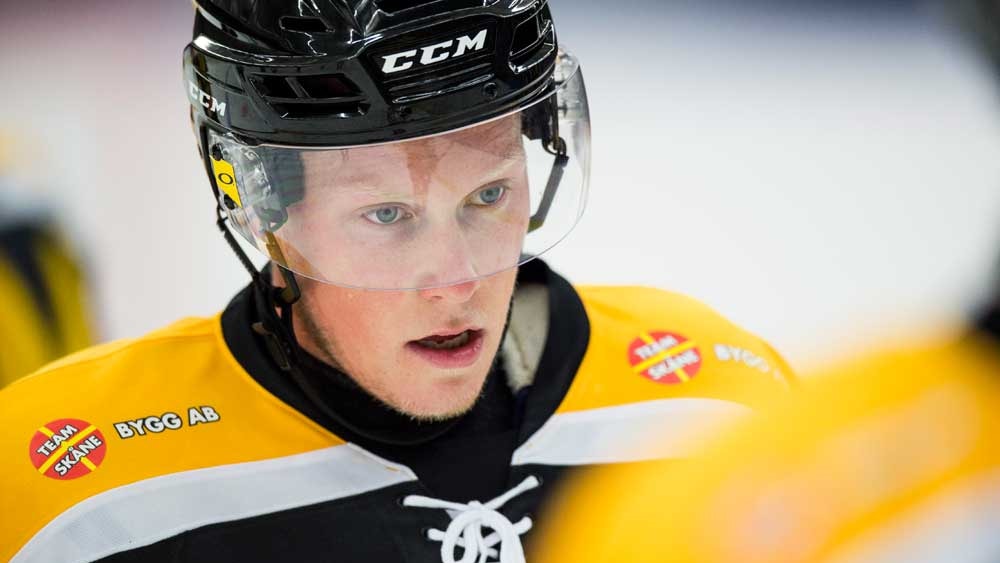 Petter Arvidson/Bildbyrån