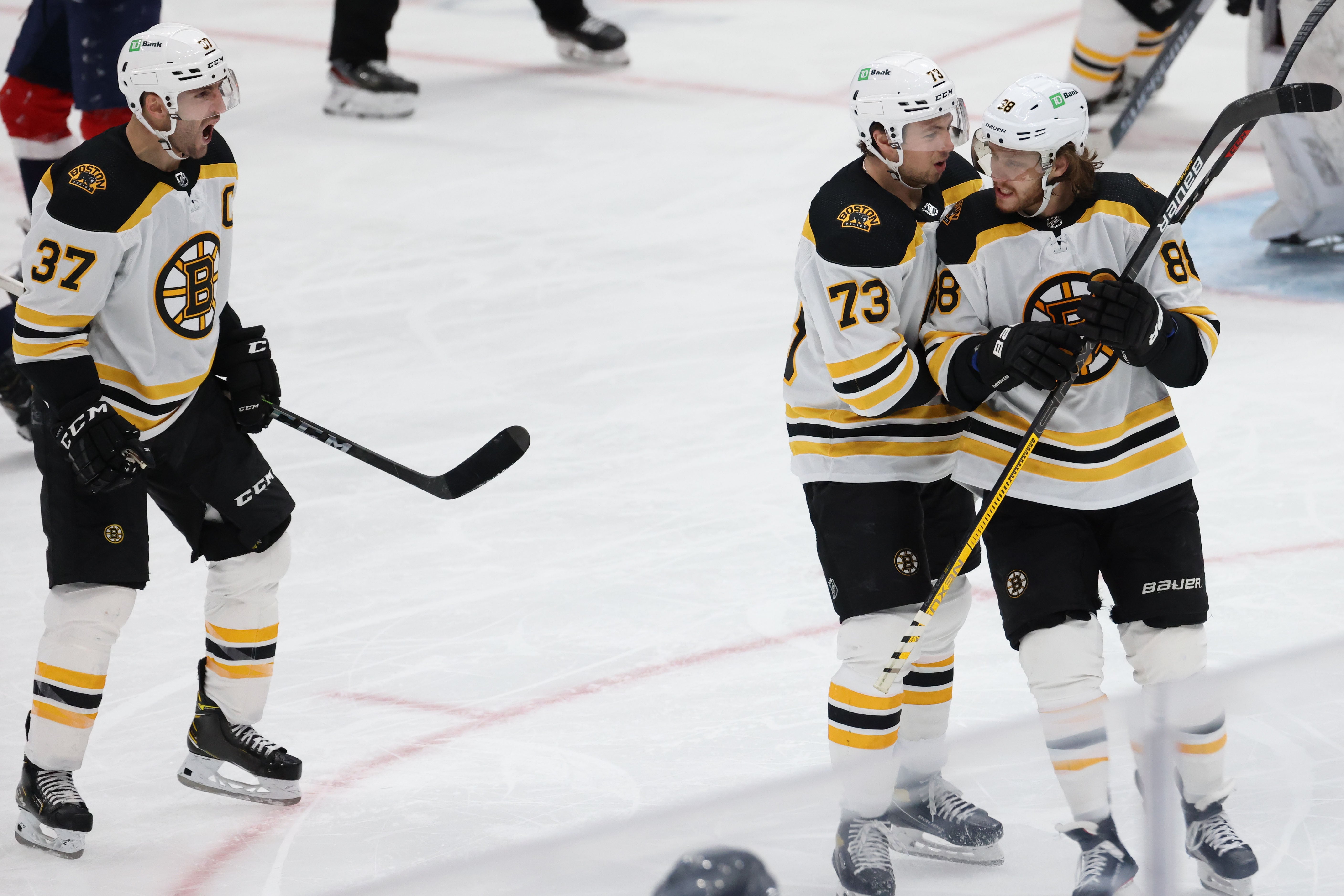 (17732) David Pastrnak