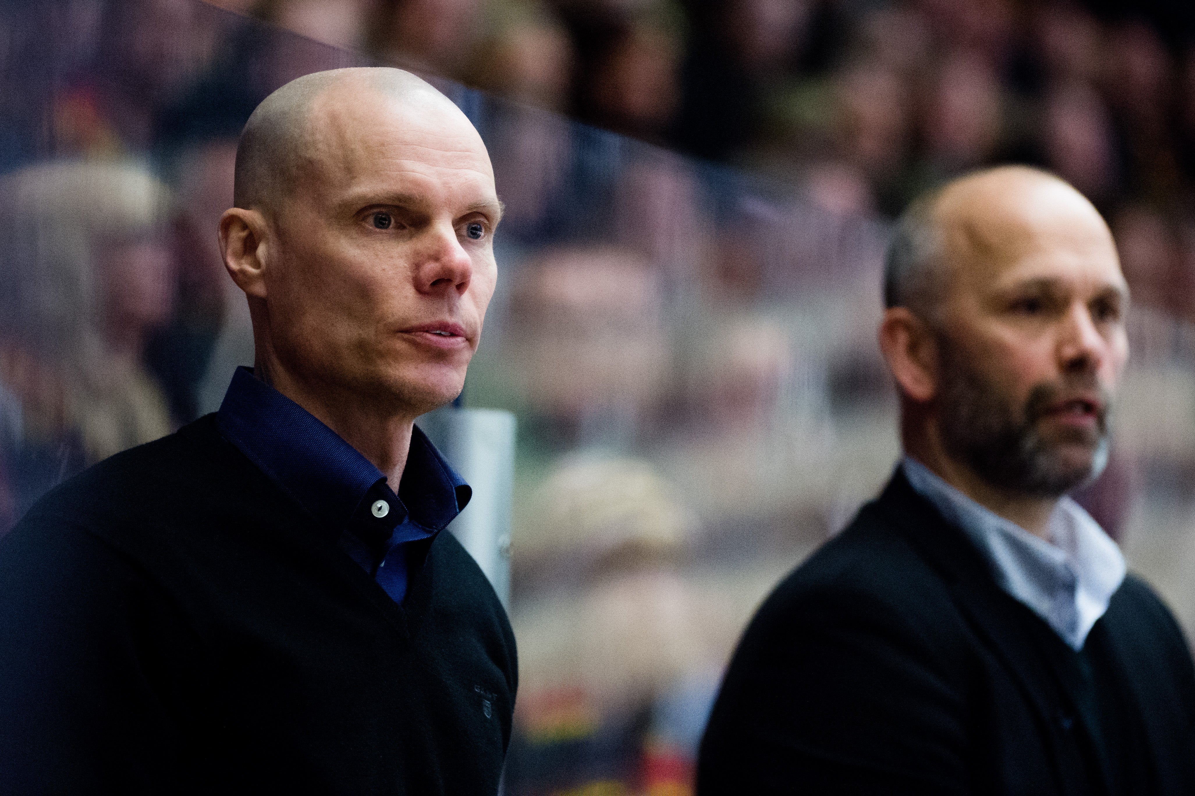 Simon Hastegård/Bildbyrån