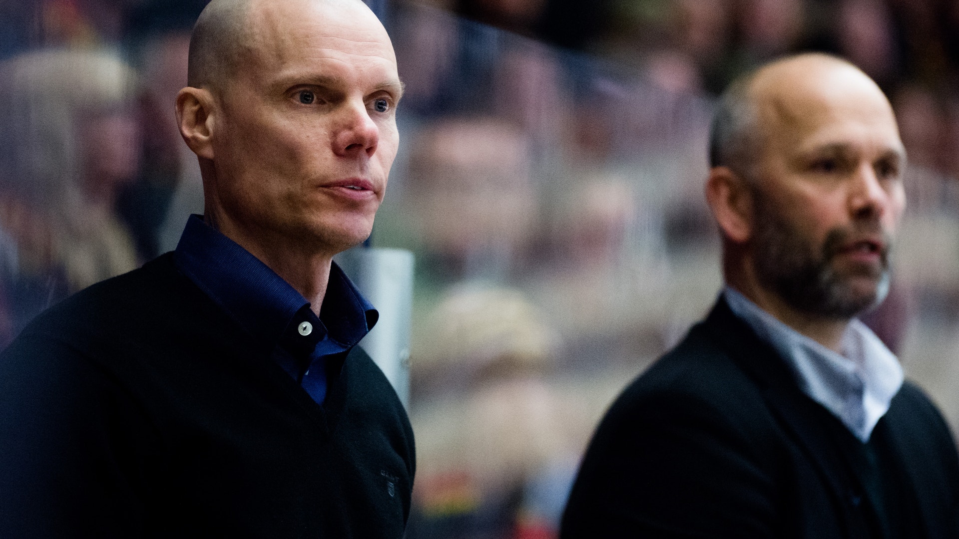 Simon Hastegård/Bildbyrån