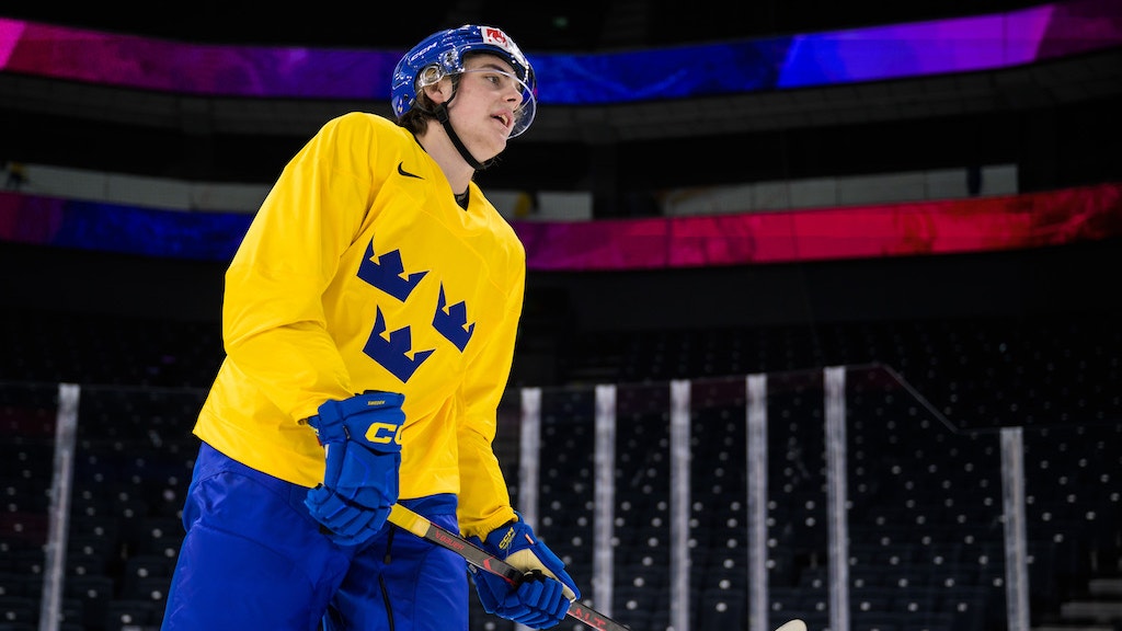 (27956) Leo Carlsson