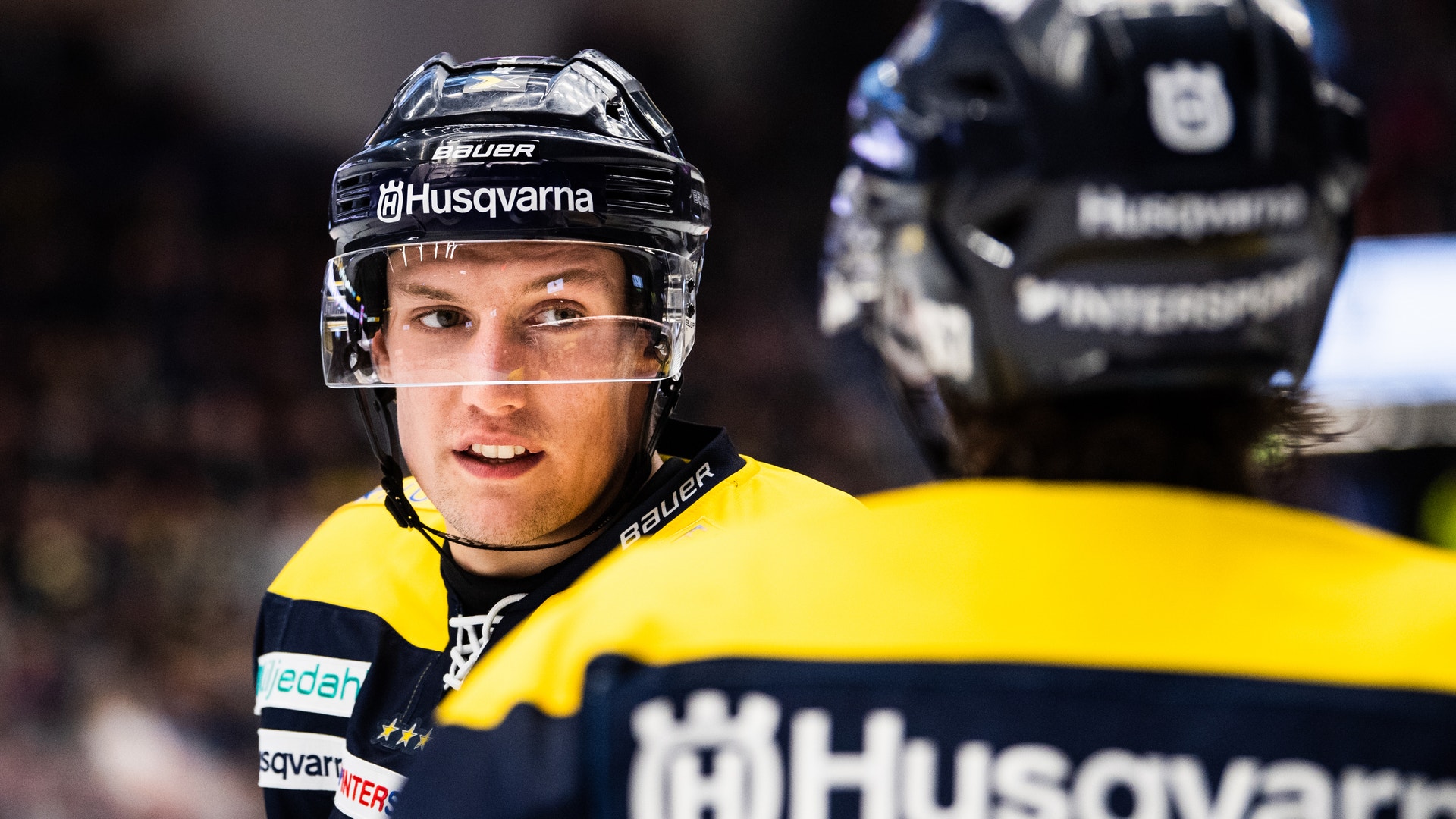 Mathias Bergeld, Bildbyrån