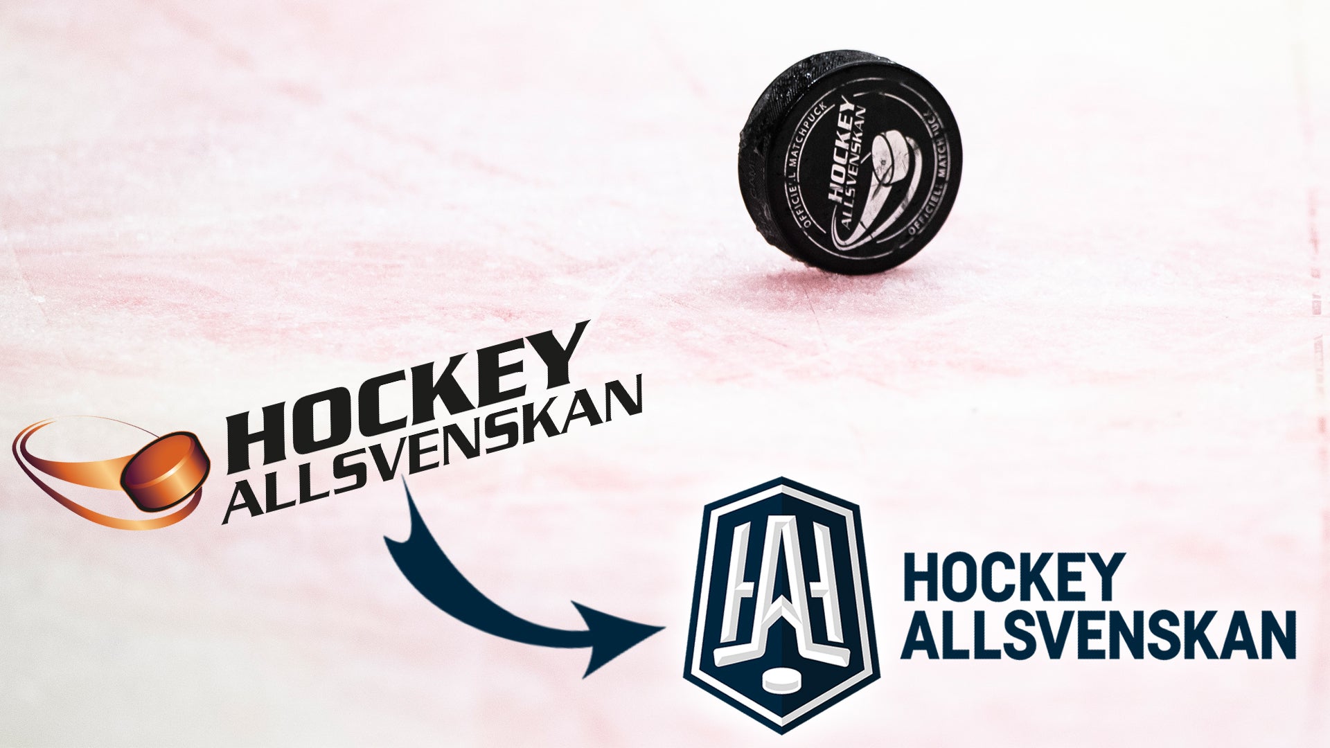 (14141) Hockeyallsvenskan