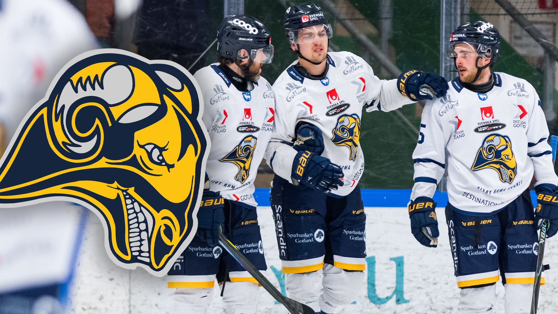 Foto: Patric Söderström/Bildbyrån