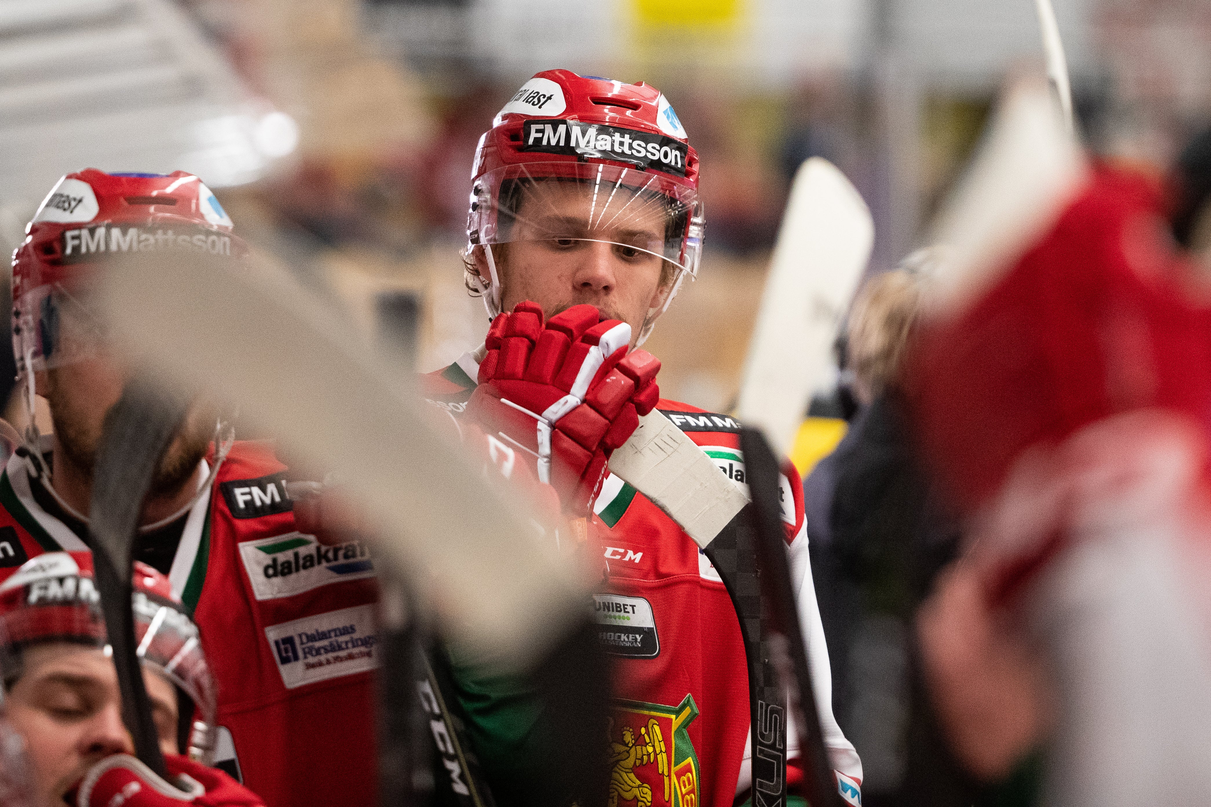 (11688) Wilson Johansson