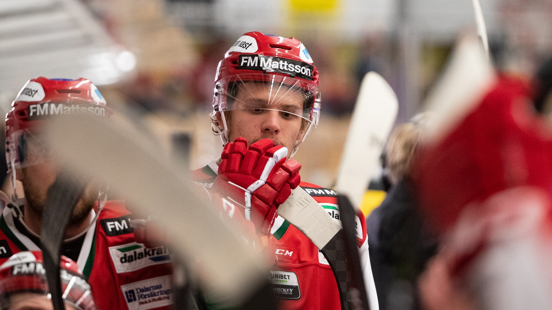 (11688) Wilson Johansson