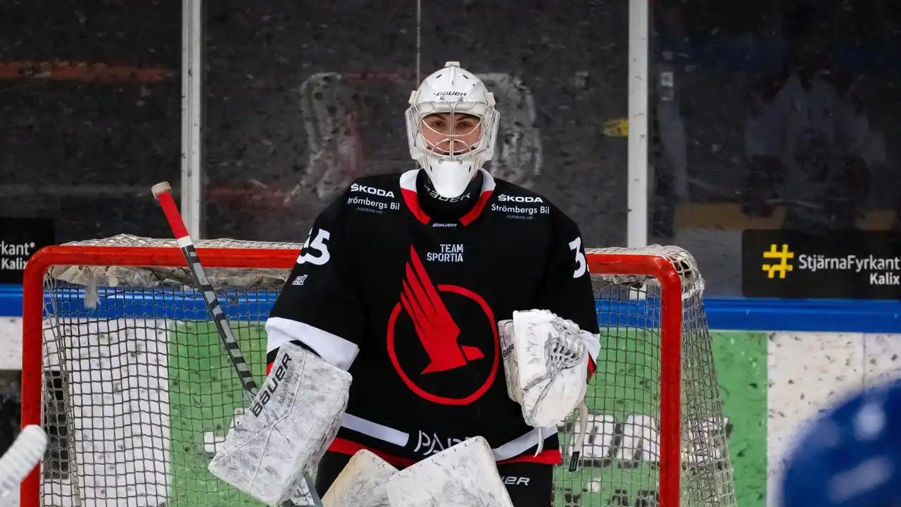 Robin Henriksson