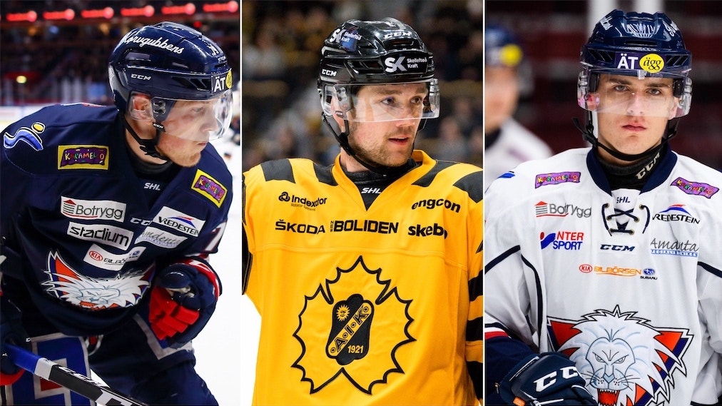 (13321) LHC-genomgång