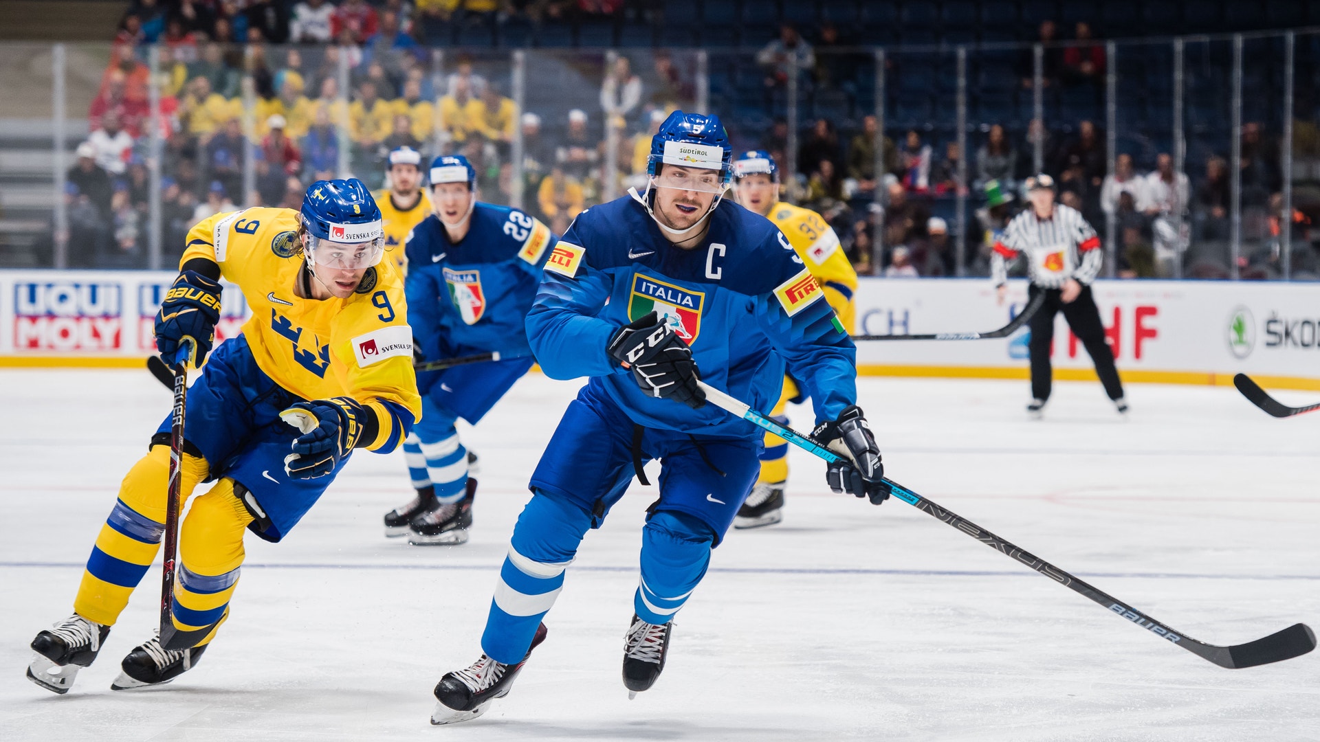 (17985) Alex Trivellato