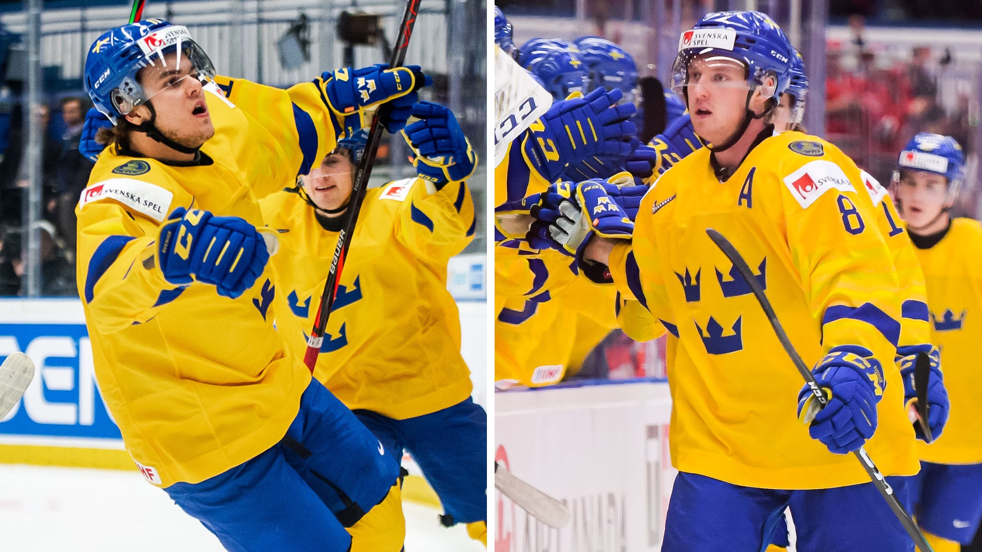 (11903) Fagemo-Sandin