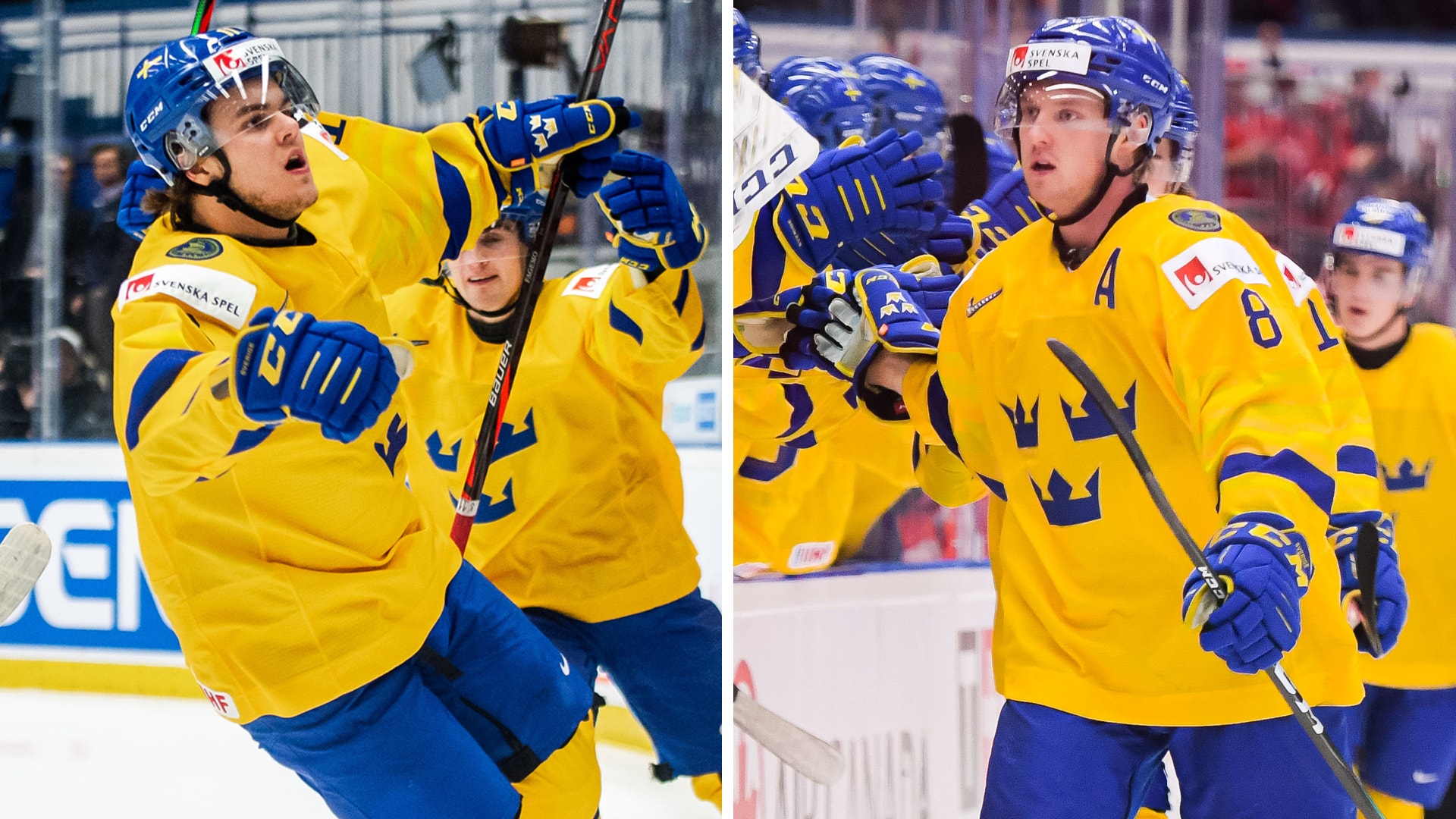 (11903) Fagemo-Sandin