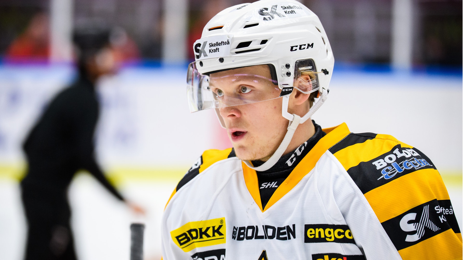 Petter Arvidson, Bildbyrån