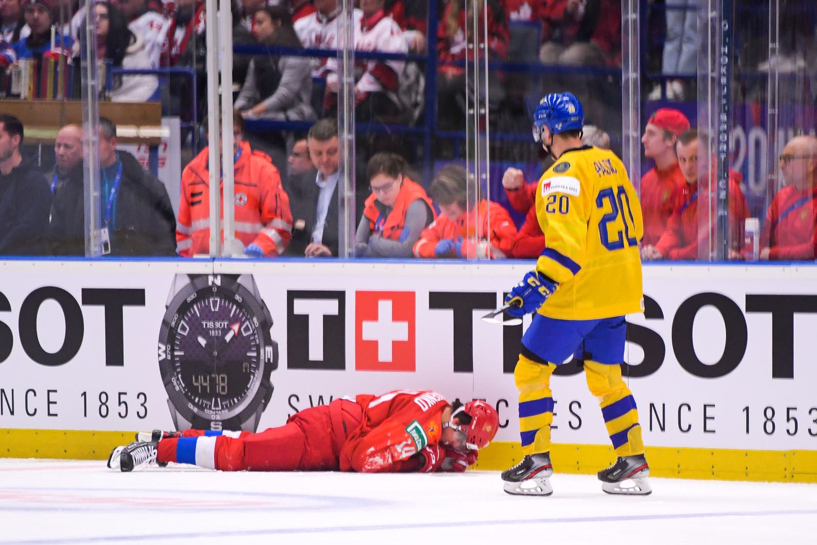 (11881) Nils Höglander