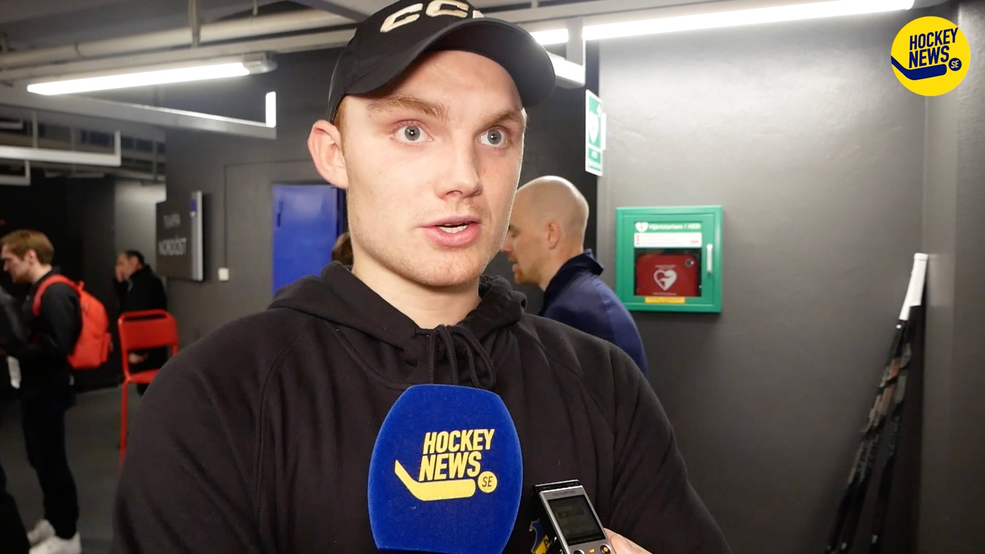 (29533) Ingberg Nilsson