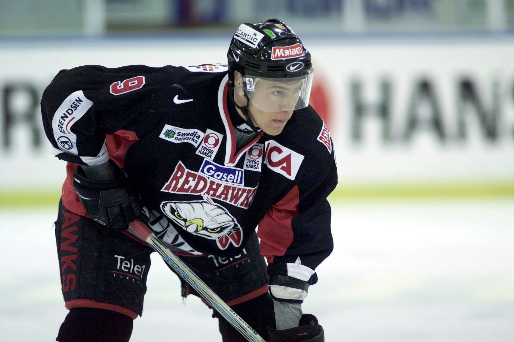 (2483) Henrik Malmström