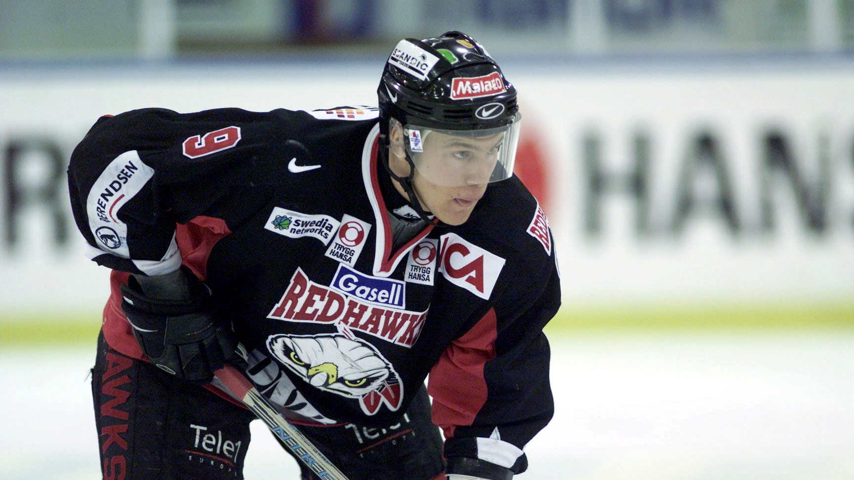 (2483) Henrik Malmström