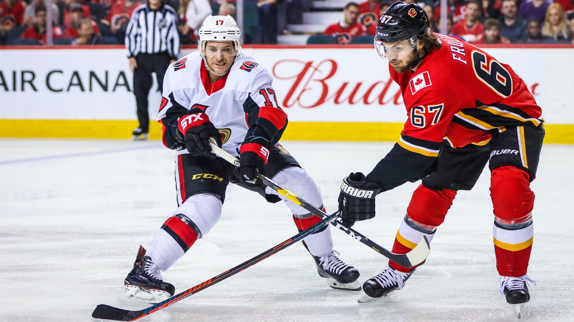 (20137) Brian Gibbons