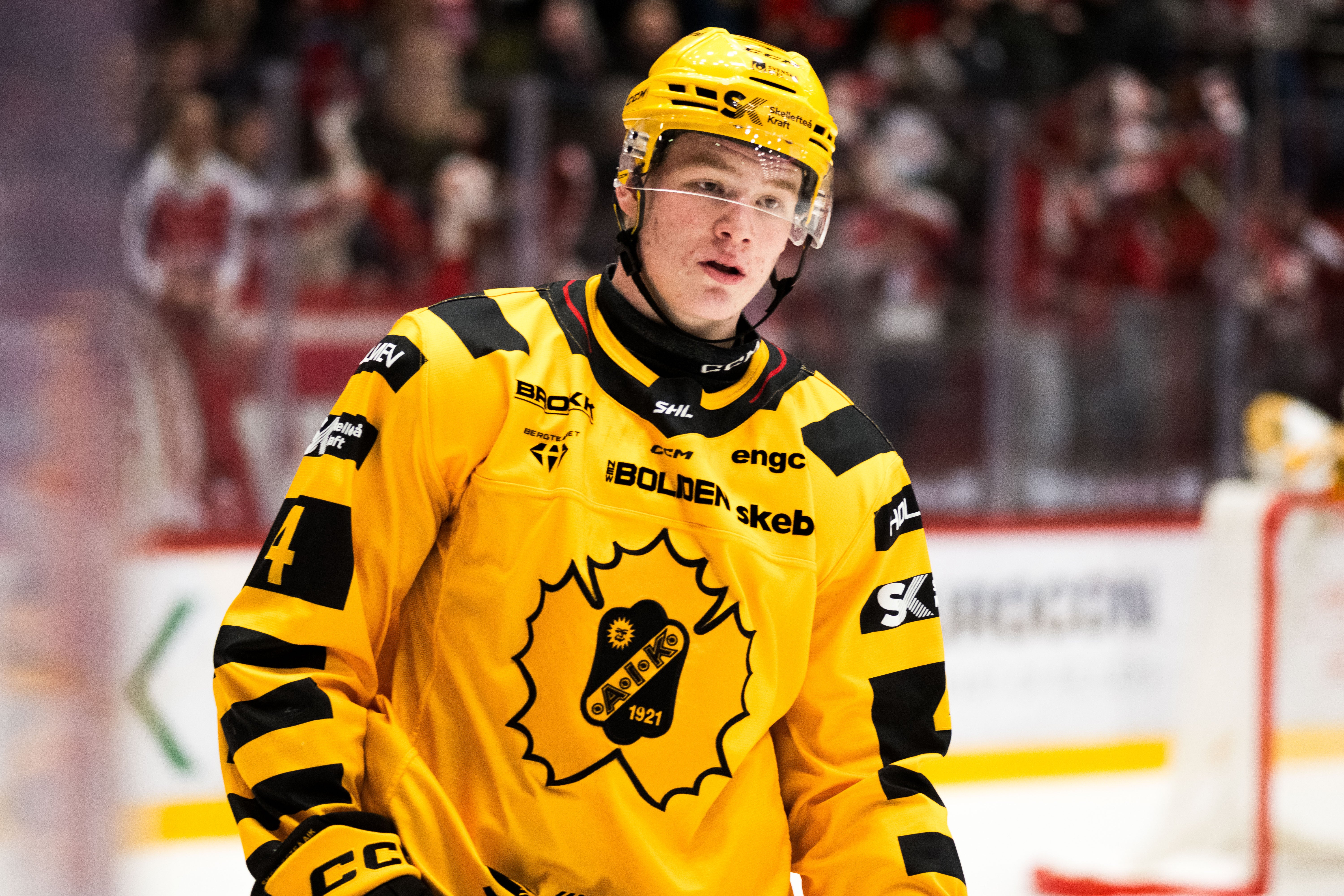 Rasmus Bergqvist