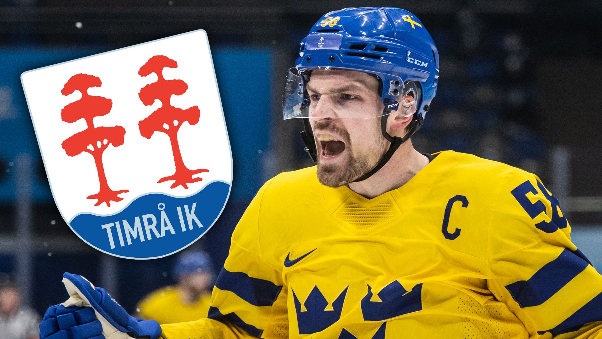 (23011) Anton Lander